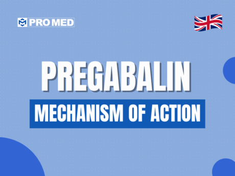 Pregabalin Mechanism of Action